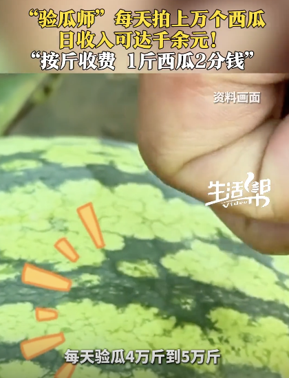 驗瓜師一天拍上萬個西瓜收入千元,，按斤收費,，1斤西瓜2分錢
