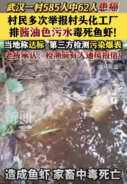 村头化工厂酱油色污水致鱼虾全死 村民癌症频发引担忧