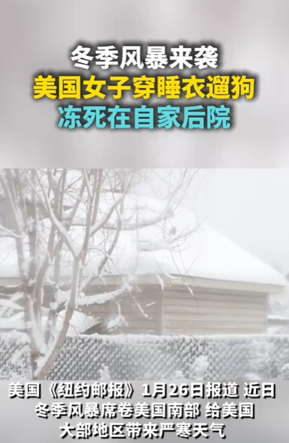 美國女子穿睡衣遛狗 凍死在自家后院