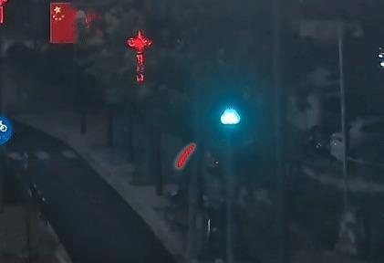 宁波外卖小哥飞车追贼勇斗歹徒获奖