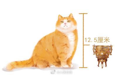 当故宫猫作为文物的计量单位 文物大小具象化