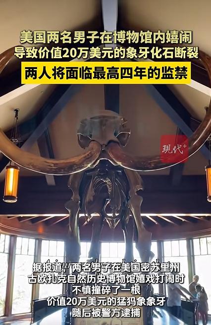 美国两男子嬉闹致20万美元化石断裂