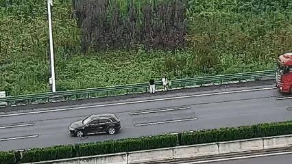 交警隔空怒吼救下高速上一家三口