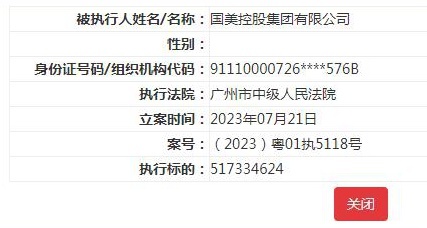 国美控股集团等被强执 执行标的超5亿元