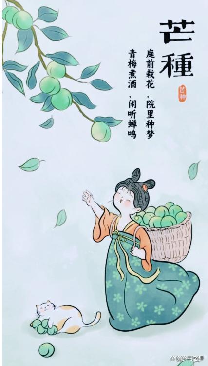 “芒種不過午,，三伏棉衣捂”,，今年芒種在何時(shí)？