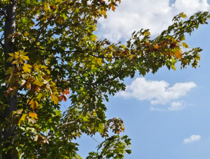 第一批退休的老年人又开始上班了