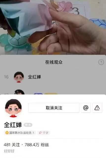 全红婵为什么有很多小乌龟 奥运冠军的童心收藏