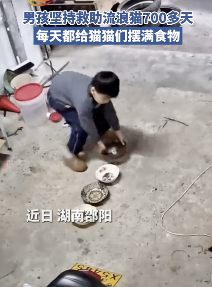 小孩哥坚持喂养流浪猫700多天！