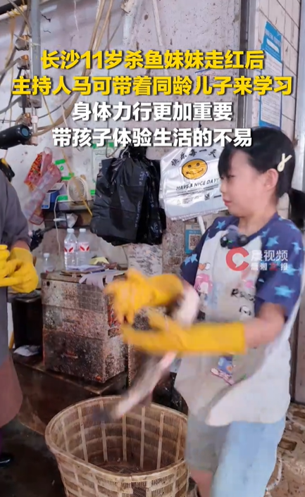 主持人马可带儿子向杀鱼妹妹学习 体会生活谋生的艰辛