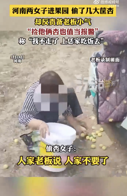 兩女子偷杏被抓反責備老板小氣