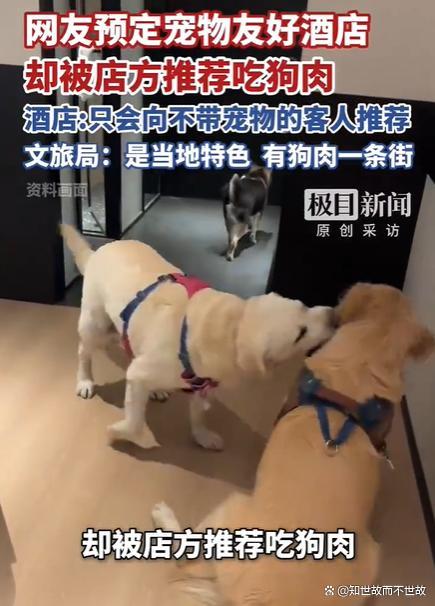 网友订宠物友好酒店 店方推荐吃狗肉