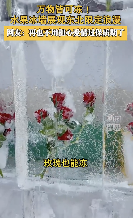 原来东北除了玫瑰冰瀑还有水果冰墙
