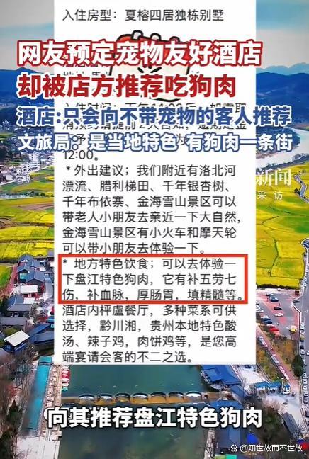 文旅局回应宠物友好酒店推荐吃狗肉 价值观冲突引热议