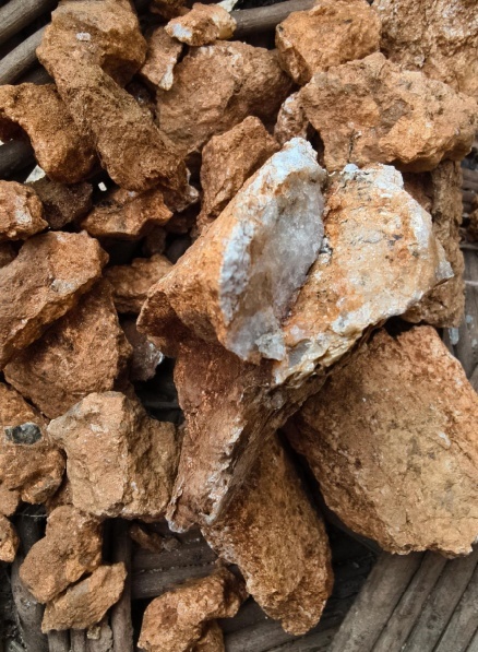 大连8岁男孩疑发现金矿后续 好奇心引领探索