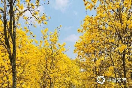 我国大部将掀升温浪潮 网友：你一句春不晚，我就到了真江南