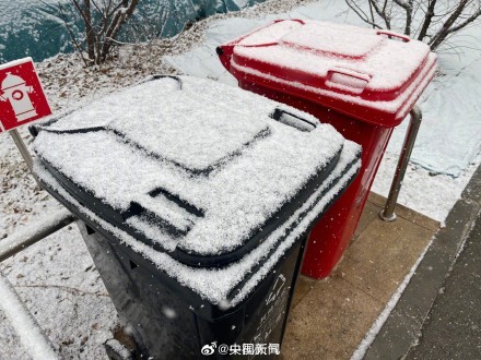 北京春雪飄飛 三月賞雪驚喜