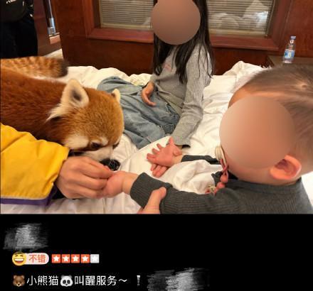 酒店小熊貓叫早服務引爭議