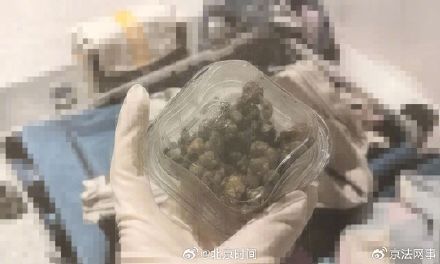 情侣携带新型毒品回国均被判刑