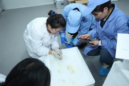 航天员带回近100斤太空特产 科学实验样品顺利交付