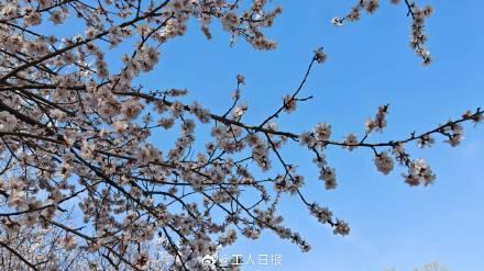 多地鼓励家长同步休春秋假 共织休假与托管保障网