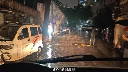 上海300多株倒伏树木一夜清零 绿化市容队伍高效处置