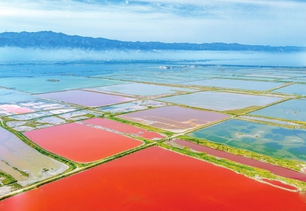 七彩盐湖 夏日画板