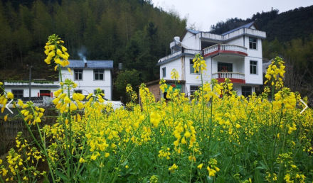 鼓足干劲 加快建设宜居宜业和美乡村