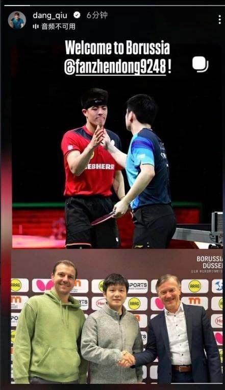 邱党欢迎樊振东加盟