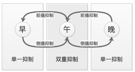 为啥高考完学了三年的东西立马忘干净了 记忆科学解析