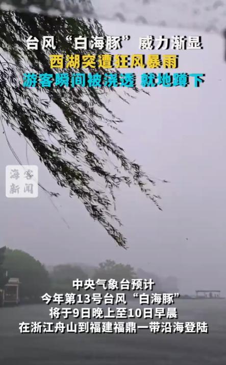 浙江沿海狂风暴雨摄像头剧烈震颤