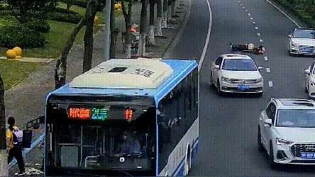 4名小学生扶起摔倒老人，交警上门发奖状