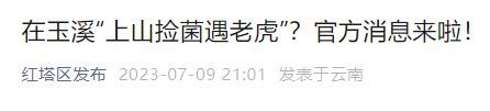男子在云南玉溪采菌遇到3只老虎 官方通报：不造谣、不信谣、不传谣，