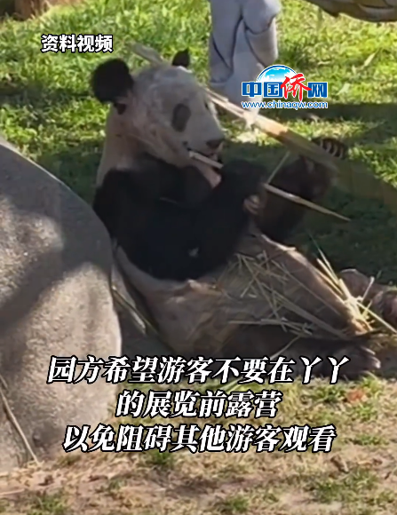 园方禁止无许可直播丫丫