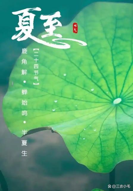 “过了夏至节，夫妻各自歇”啥意思？ 夏至习俗与养生之道