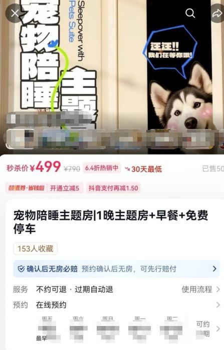 广州一民宿推“猫咪陪睡”服务 宠物陪伴住宿新业态