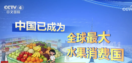 中国人一年吃掉全球近70%的西瓜 进博会让咱吃到越来越多外国水果