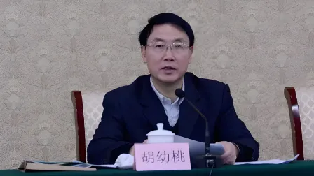 搞权色钱色交易 胡幼桃被开除党籍