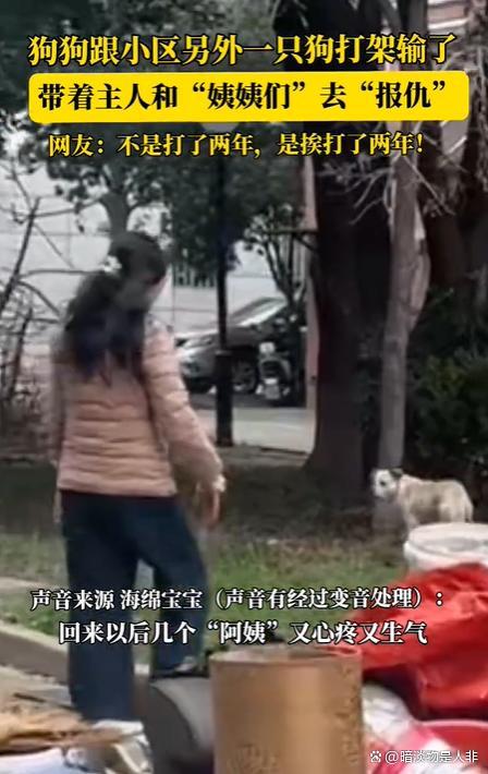 狗狗打架输了带主东说念主去报仇 狗界酬酢战高东说念主