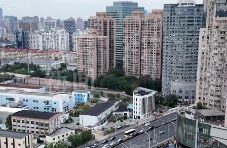 81岁老人为外籍外孙女寻意定监护人 白发人送黑发人的沉重打击