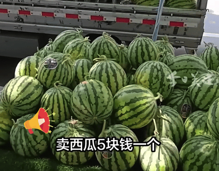 东北大哥中暑留喇叭“自助卖瓜” 路过买瓜的人也都很自觉
