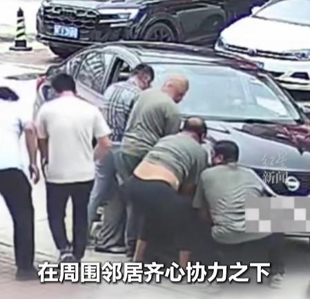 128斤胖狗被车碾压 众人抬车救狗