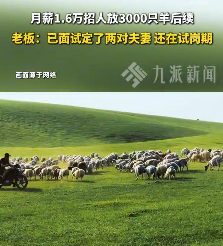 月薪1.6万放羊夫妻平时不玩手机
