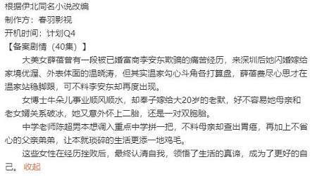 电视剧《成双成对》剧情介绍，《成双成对》故事梗概