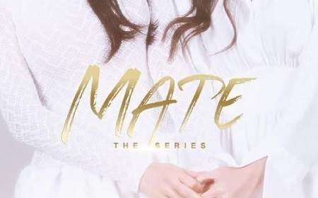 泰剧《MATE THE SERIES》原著小说叫什么？精彩剧情介绍