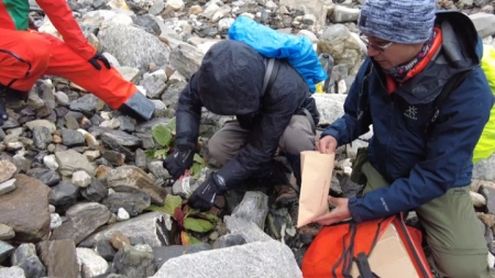 Chinesische Wissenschaftler schließen Saatgutsammelaktion auf dem Qomolangma-Berg ab