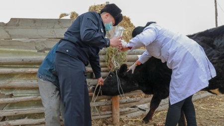 Tierärztin betreut seit 34 Jahren 800.000 Tiere am Fuße des Tianshan-Bergs