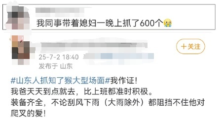上海人夜晚出動抓“知了猴” 美味誘惑難擋