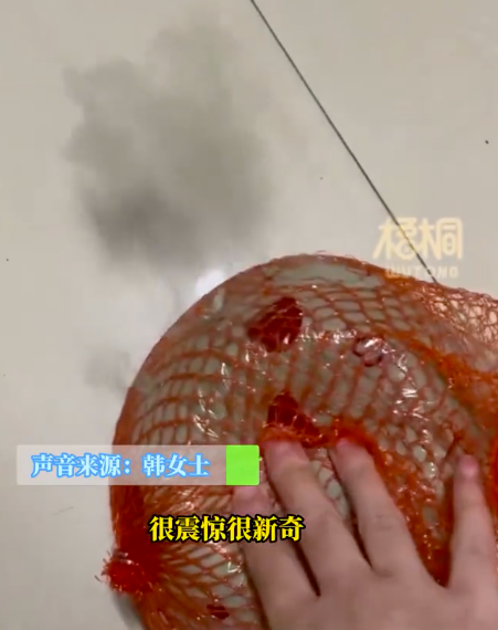 女生买柚子闲置20多天按压冒灰烟