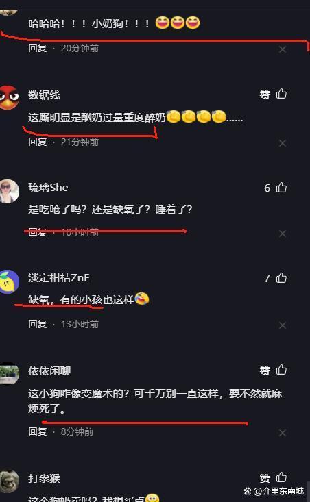 出生2天的小奶狗吃完奶就发硬 人工呼吸成救命关键