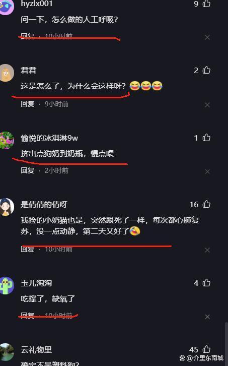 出生2天的小奶狗吃完奶就发硬 人工呼吸成救命关键